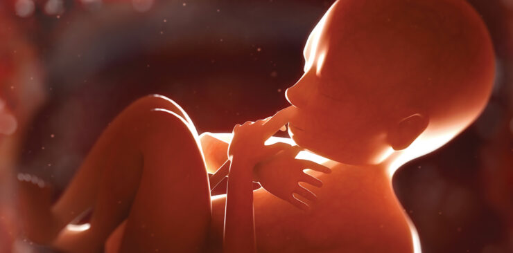 Understanding Early Eye Development | CollaborativeEYE